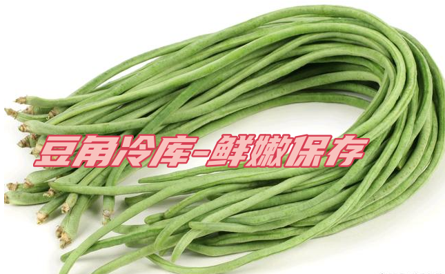 豆角工業冷庫：鮮嫩保存，一年四季供應