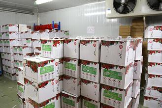 1571203315875084.jpg 5935958_20151019161924.jpg