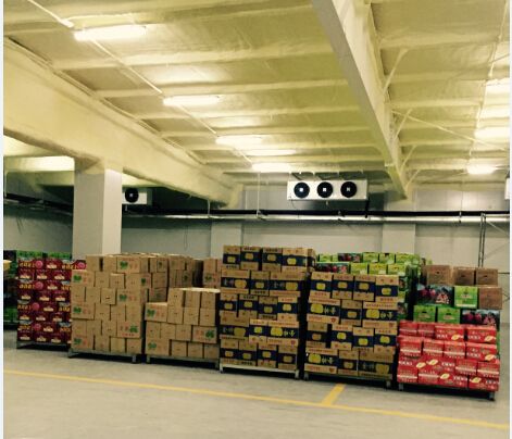 1571729174618982.jpg 354654.jpg