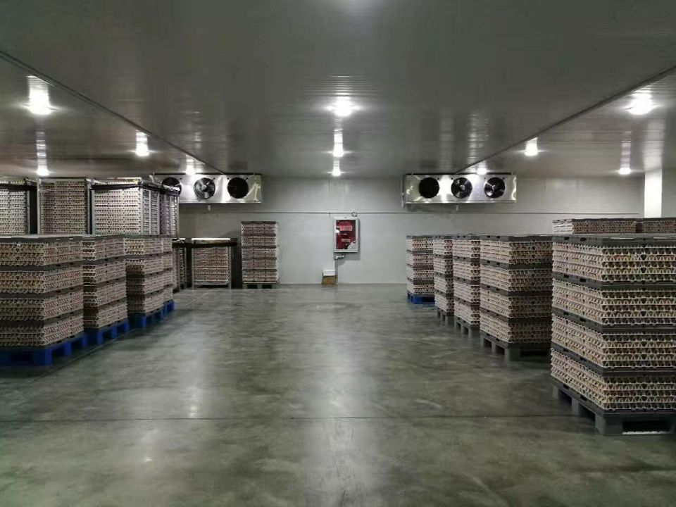 食品冷庫(kù)的庫(kù)內(nèi)實(shí)拍圖 食品冷庫(kù)的庫(kù)內(nèi)實(shí)拍圖