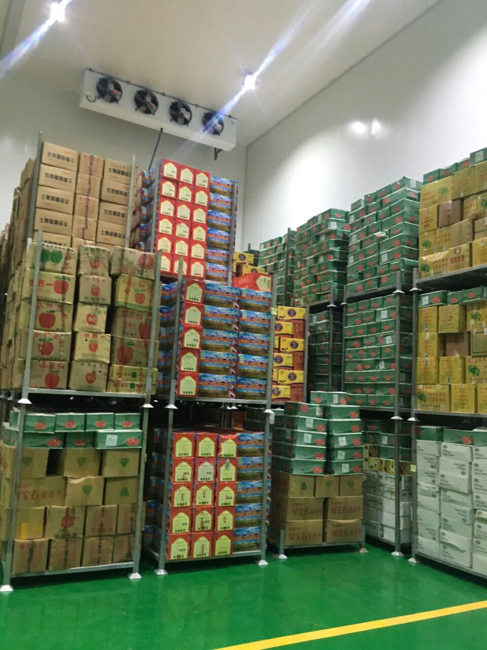 1000噸(1000平方米)的水果冷庫 1000噸(1000平方米)的水果冷庫