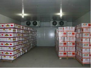 果蔬冷庫(kù) 果蔬冷庫(kù)