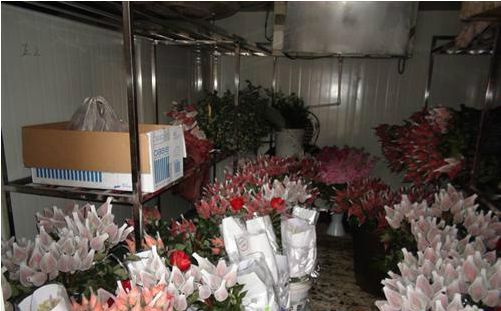 玫瑰花冷庫(kù) 玫瑰花冷庫(kù)