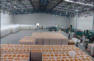 2500立方水果冷庫(kù) 2500立方水果冷庫(kù)