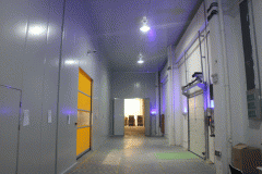 10000立方米食品多溫冷庫造價,總投資大概要多少錢