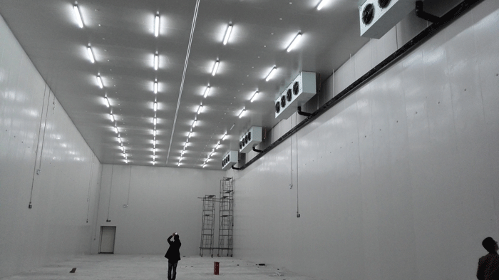 10000立方米冷庫工程造價 10000立方米冷庫工程造價