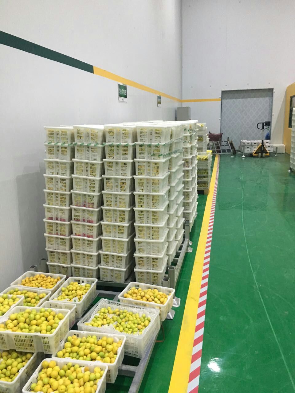 山東3000噸水果保鮮庫(kù) 山東3000噸水果保鮮庫(kù)