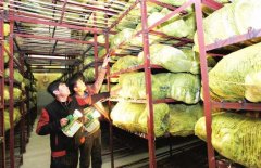 200平米果蔬冷庫，冷庫建造成本多少錢