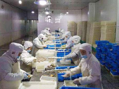 200平米海鮮低溫冷庫 200平米海鮮低溫冷庫