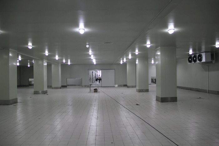 4000平方米果蔬冷庫 4000平方米果蔬冷庫