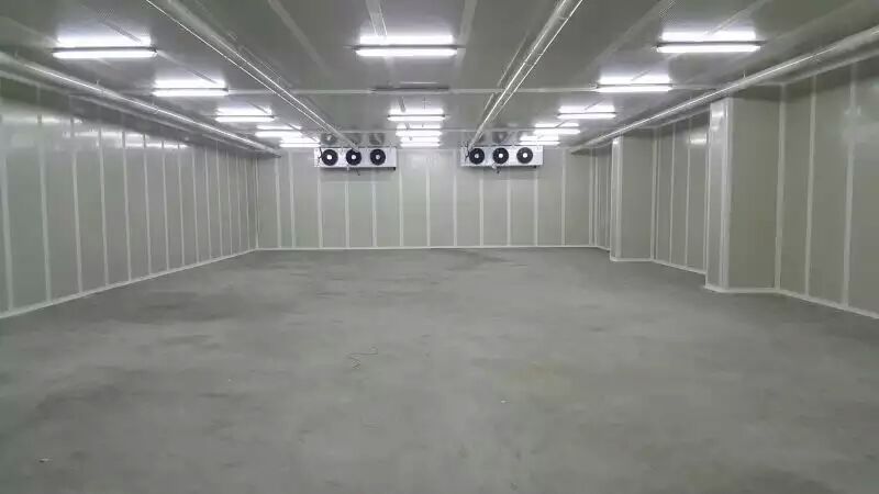 4000平方氣調(diào)冷庫(kù)安裝 4000平方氣調(diào)冷庫(kù)安裝