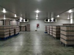 3000噸食品冷藏庫安裝造價是多少?