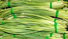 儲存蒜薹(蒜苔)保鮮冷庫安裝工程造價是多少