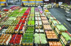 1000平米鮮花冷庫怎么安裝？造價費用是多少