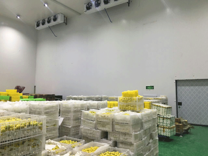 丑橘保鮮冷庫(kù) 丑橘保鮮冷庫(kù)