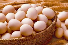 江蘇1000㎡禽蛋類冷庫(低溫冷藏庫)建造安裝成本多少