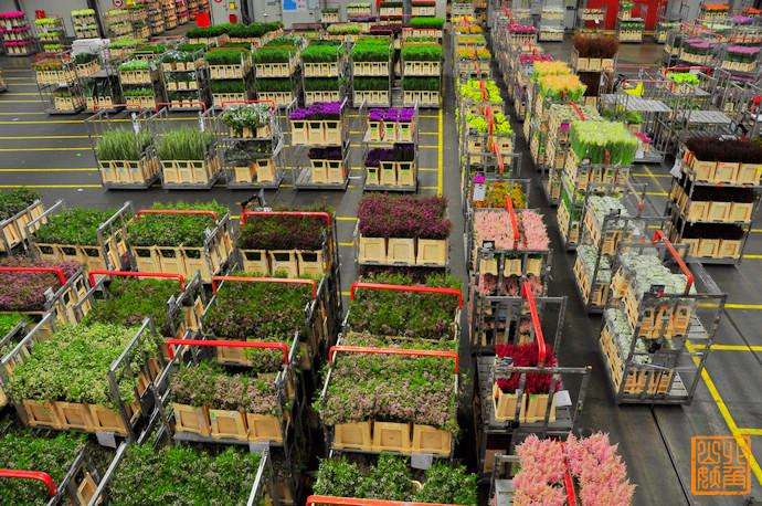 上海1000㎡花卉恒溫庫安裝設備需要多少錢 上海1000㎡花卉恒溫庫安裝設備需要多少錢