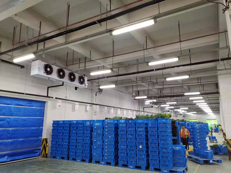 產經觀察:冷鏈物流要火了 產經觀察:冷鏈物流要火了