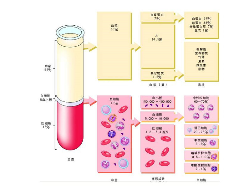 -30℃~-80℃血漿蛋白低溫冷凍庫規范,冷庫安裝價格 -30℃~-80℃血漿蛋白低溫冷凍庫規范,冷庫安裝價格