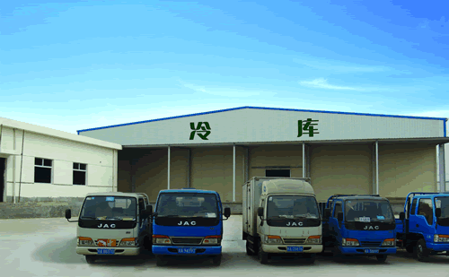 大型冷庫(kù)建造