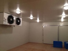 220V能建冷庫(kù)多大？（低溫冷庫(kù)）