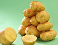 馬鈴薯蔬菜保鮮庫(kù)設(shè)計(jì)及換氣