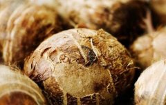 芋頭低溫冷藏庫(kù)進(jìn)庫(kù)和速凍處理