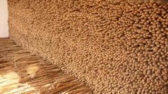 建一個山藥保鮮庫貯藏山藥有哪些好處？