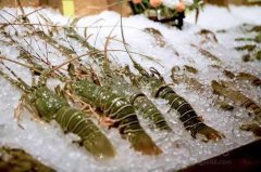 海鮮保存溫度?海鮮冷凍庫價格多少錢