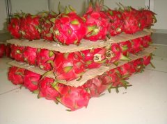 做一個水果氣調(diào)保鮮庫安裝大概需要多少錢?