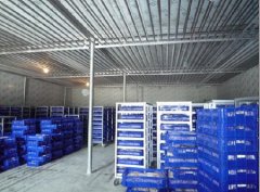 200噸葡萄保鮮庫建造，1000m3葡萄放冷庫可以放多久