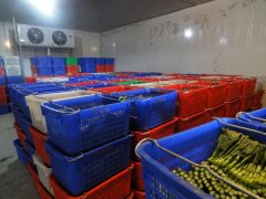 武漢7000立方米果蔬冷庫安裝需要多少錢？