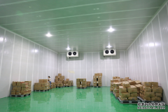 蒜薹保鮮庫造價(jià)耗電量是多少貯藏有哪些方法