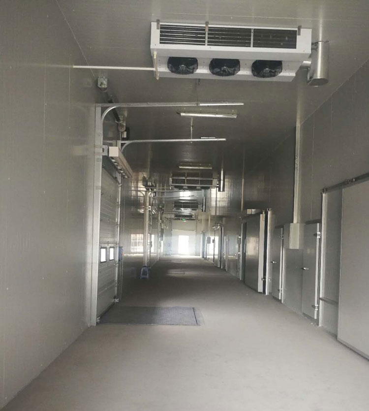 -25℃低溫海鮮魚肉加工廠冷凍庫(kù)安裝設(shè)計(jì)標(biāo)準(zhǔn)費(fèi)用多少?